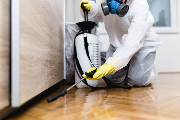 Best Wasp Removal Services  in Dexter, OR