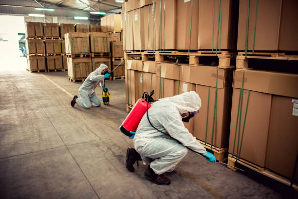 Best Cockroach Control Services  in Dexter, OR