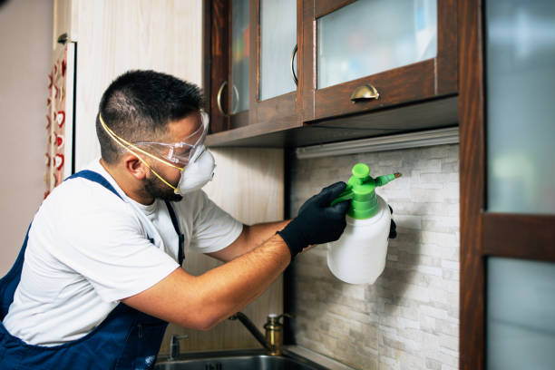Best Pest Removal Services  in Dexter, OR