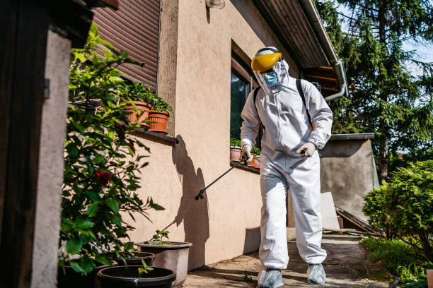 Best Pest Control Treatment  in Dexter, OR