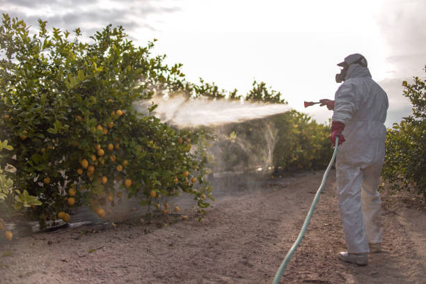Best Pest Inspection Near Me  in Dexter, OR