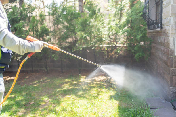 Best Pest Prevention Services  in Dexter, OR