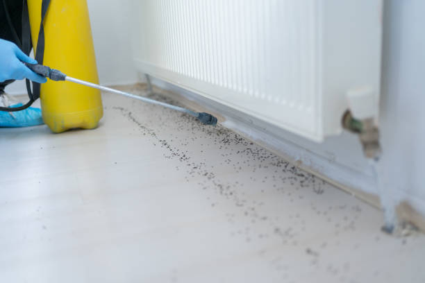 Best Best Pest Control Companies  in Dexter, OR