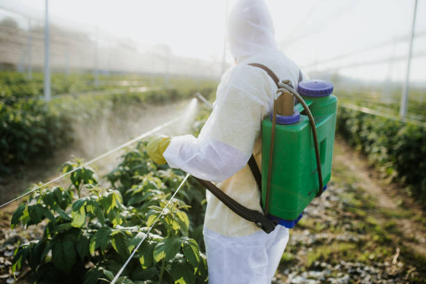 Best Exterminator Services  in Dexter, OR